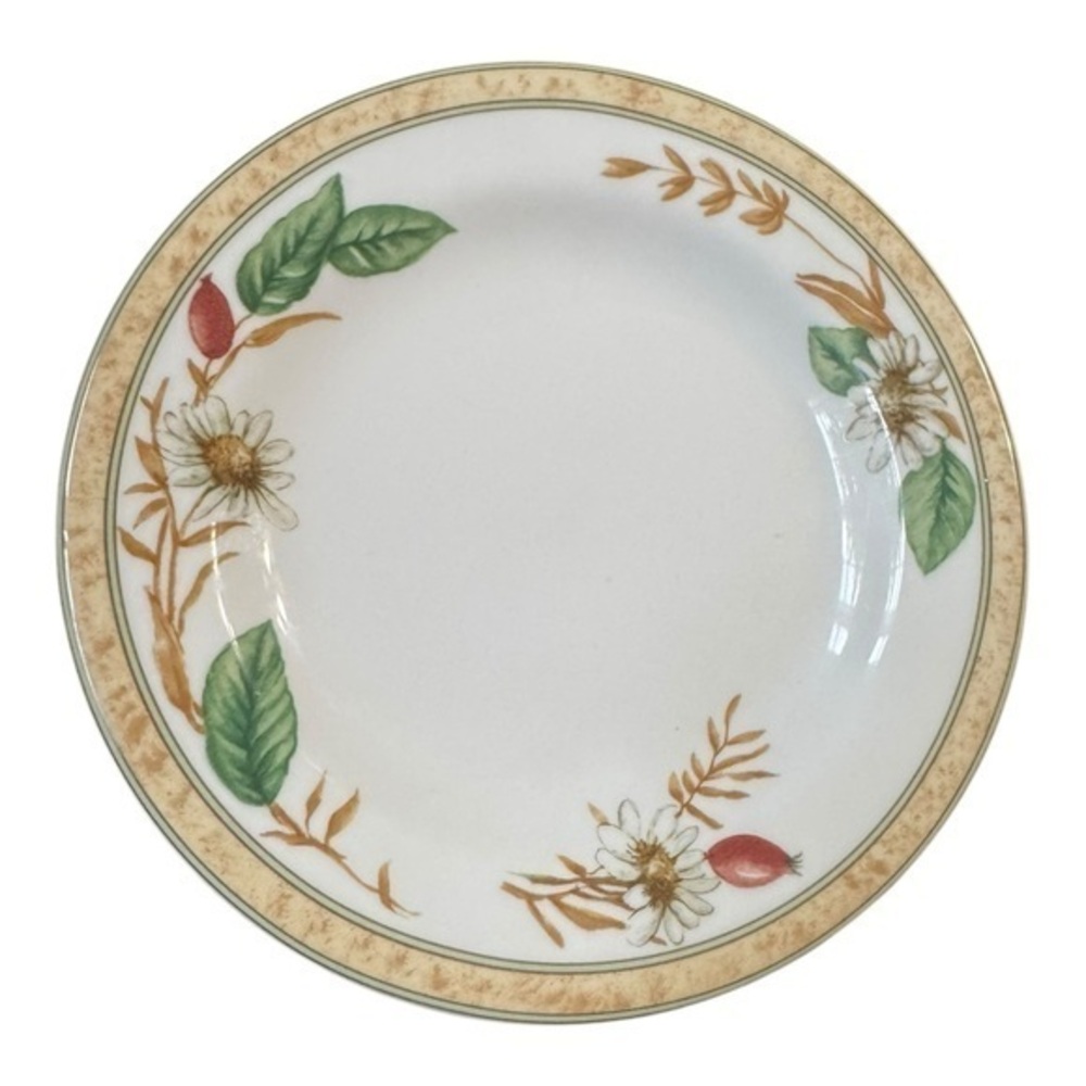 Royal Doulton Expressions Fine China Edenfield 7-3/4" Salad Plate